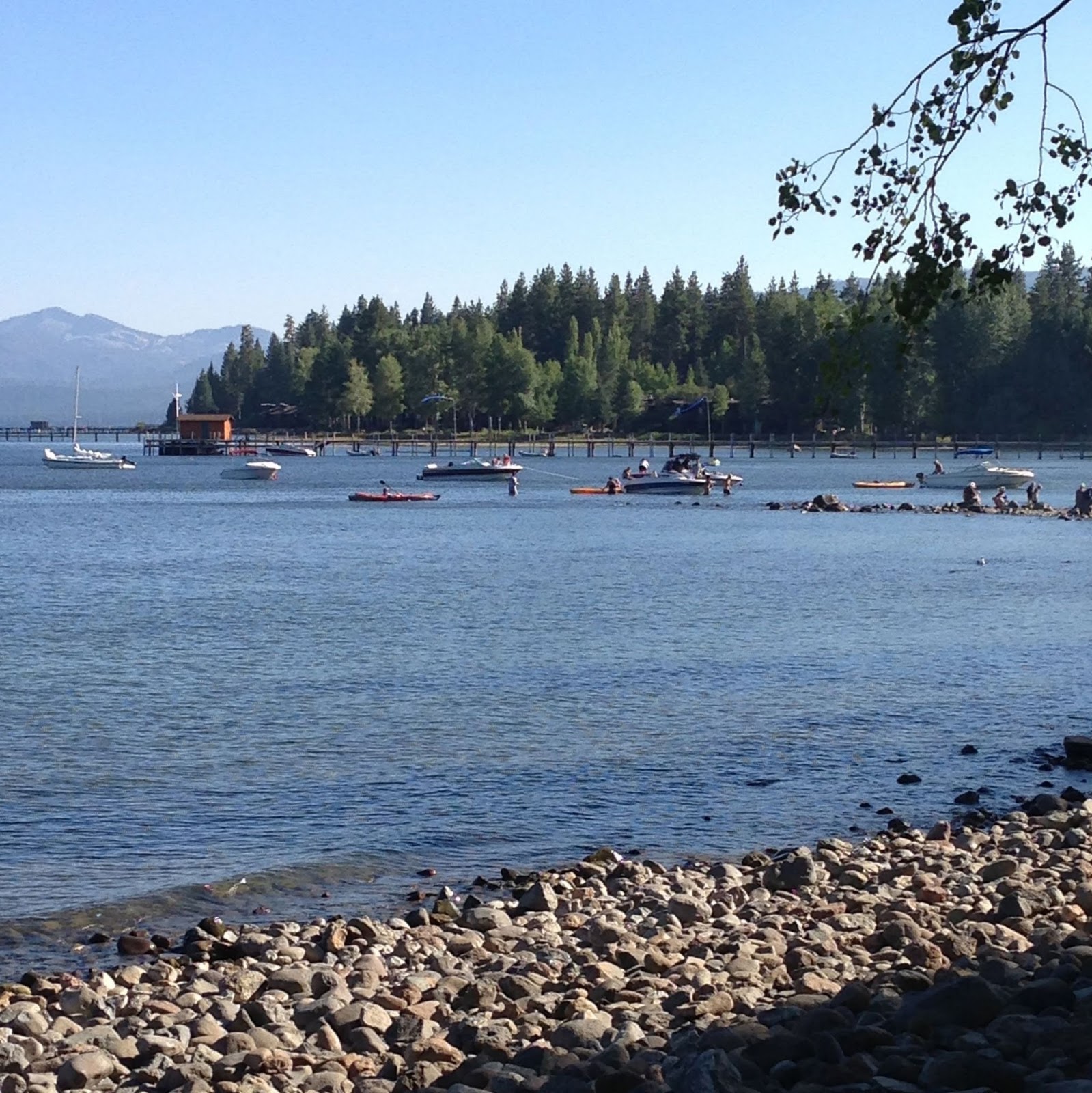 Some Like it Haute Day 5 Tahoe City / Poppy's Waffle Shop and Frozen