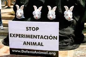 NO a los experimentos científicos con animales