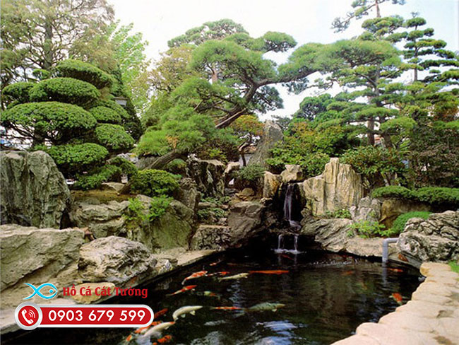 thiet-ke-ho-ca-koi-1.jpg