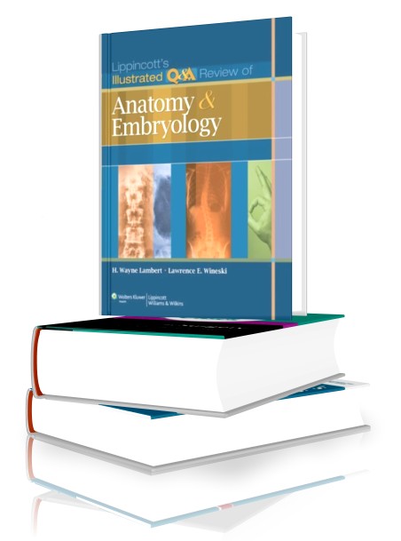 Surgery Made Easy: Lippincott’s Illustrated Q&A Review of Anatomy and ...