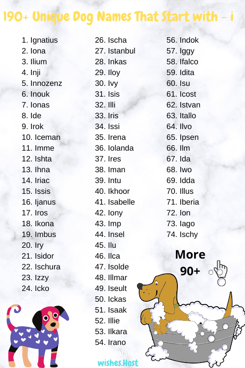 Dog Names