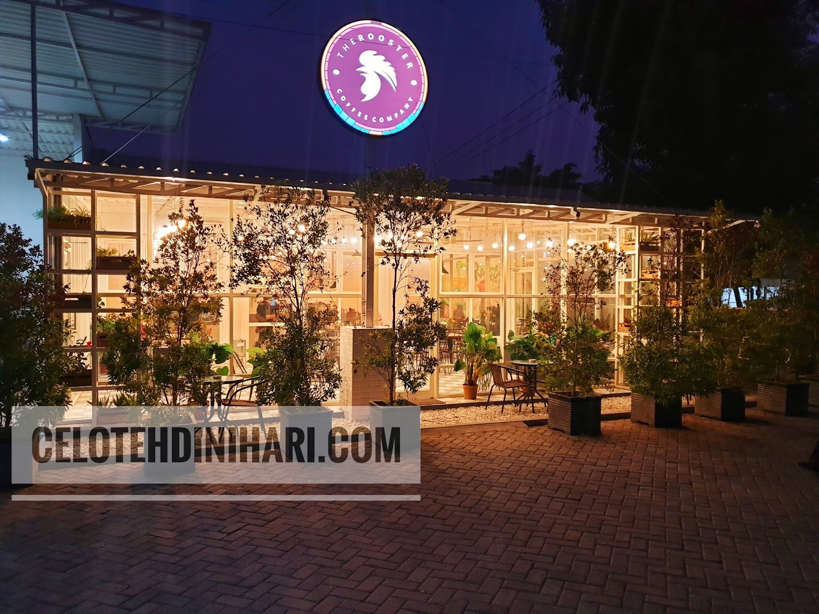 the rooster coffee sidoarjo the rooster coffee sidoarjo