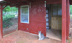 chicken coop feed porch space moving