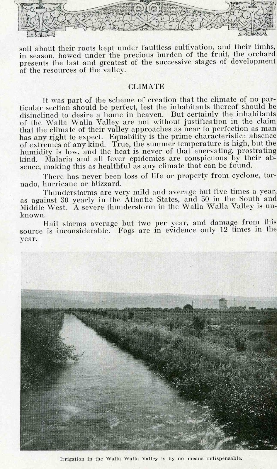 Bygone Walla Walla vintage images of the City and County (and beyond