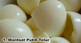 Manfaat Putih Telur