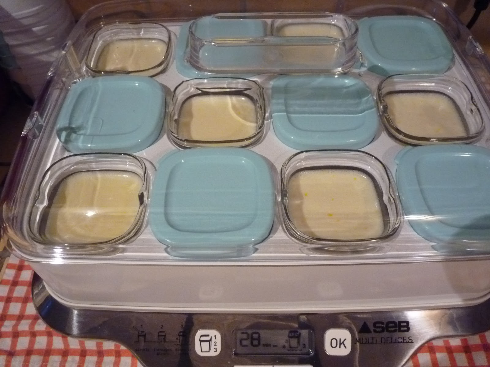 Crèmes aux Œufs MultiDélites