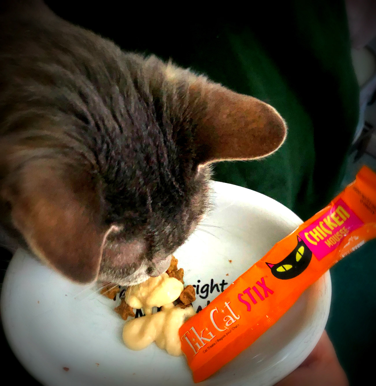 Cat And DOG Chat With Caren Cat Foodie Friday Tiki Cat Food Treats