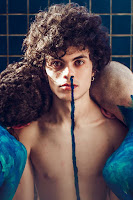 O mundo como um palco: Um passeio pelo bosque de Wislawa Szymborska 12