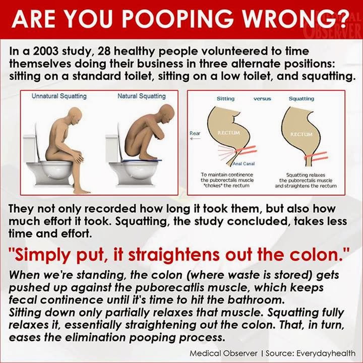 Are You Pooping Wrong? Healthcare And Lifestyle