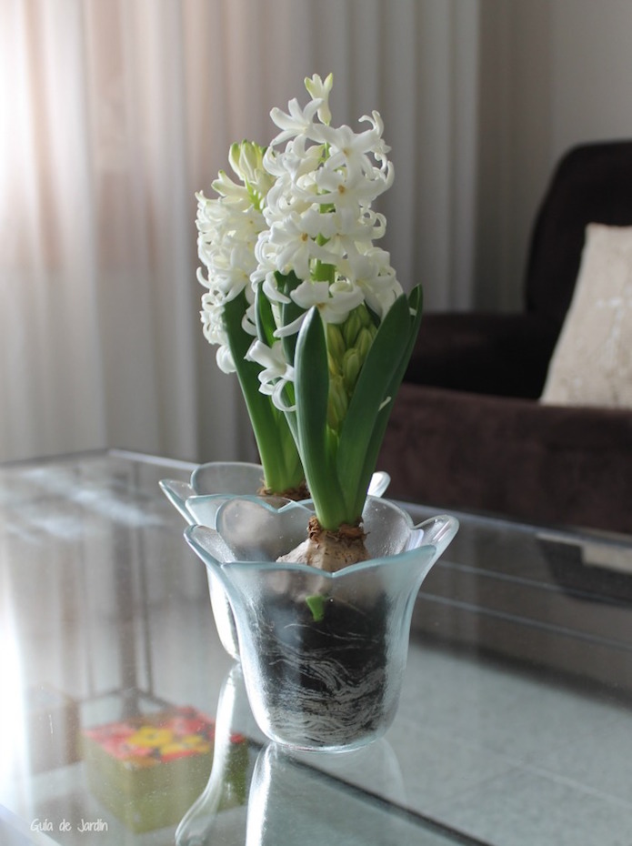 Una Pizca de Hogar Blog de hogar y decoración