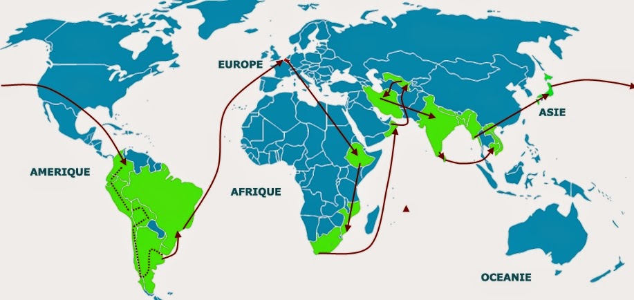 PARCOURS