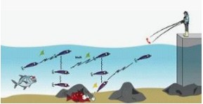 Fishing Kalen 88 Sejarah Teknik Mancing Casting Dengan Umpan Mainan Lure Fishing Kalen 88 Sejarah Teknik Mancing Casting Dengan Umpan Mainan Lure