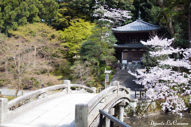 Día 13 - Kyoto (transformación en maiko - Fushimi Inari) - Japón primavera 2016 - 18 días (con bajo presupuesto) (16)