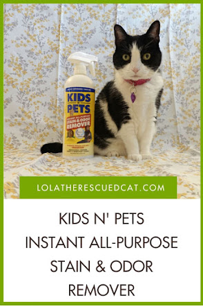 Kids N' Pets Instant All-Purpose Stain & Odor Remover