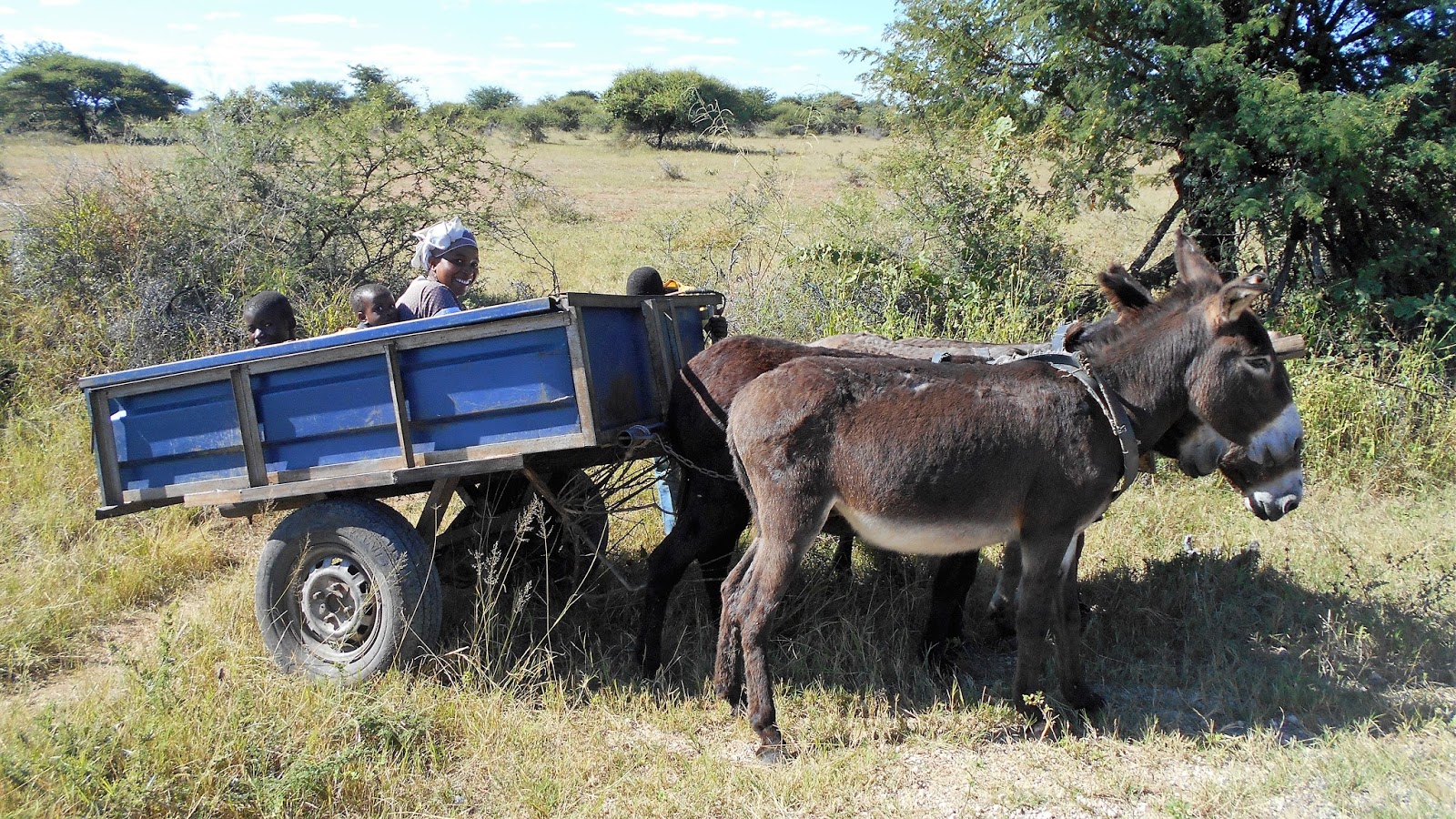 HOW TO TRAVEL IN RURAL ZIMBABWE PLUMTREE Neels Coertse Attorneys