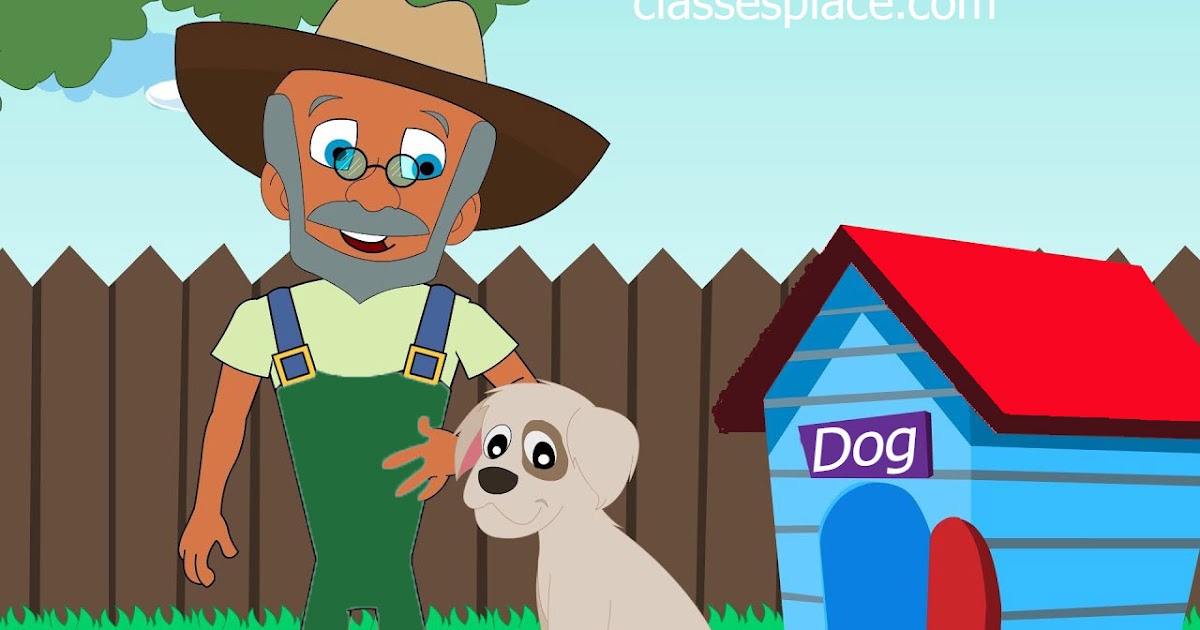 The Farmer’s Dog Story Classes Place