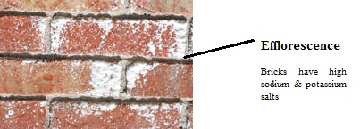 Brick efflorescence