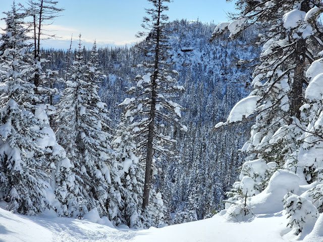 Sur le sentier de la Tete du Chien