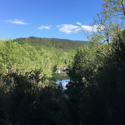 Montagnola senese: sentiero n. 402 nella Riserva Naturale Alto Merse