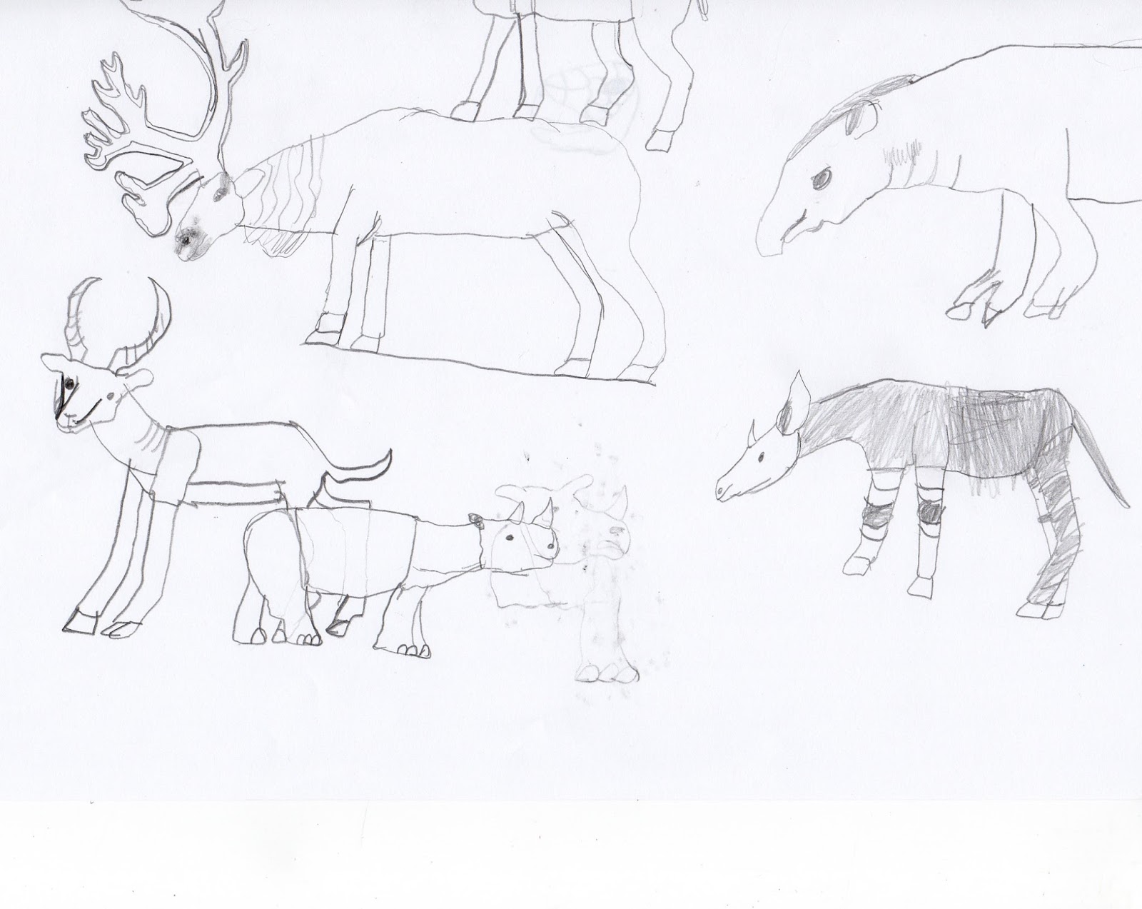 A Nature Tracker's Journal