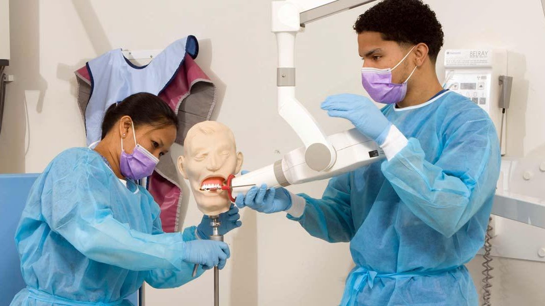 The College Of Health Care Professions Dental Assistant Schools In