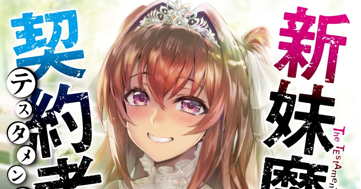 ラノベの感想) 新妹魔王の契約者 第13巻 (角川スニーカー文庫) ラノベの感想) 新妹魔王の契約者 第13巻 (角川スニーカー文庫)