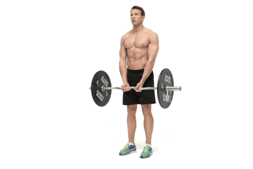 barbell4.gif