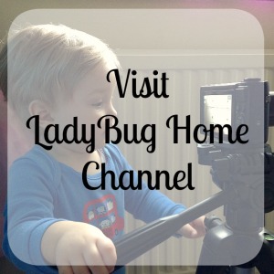 Ladybug Home Channel