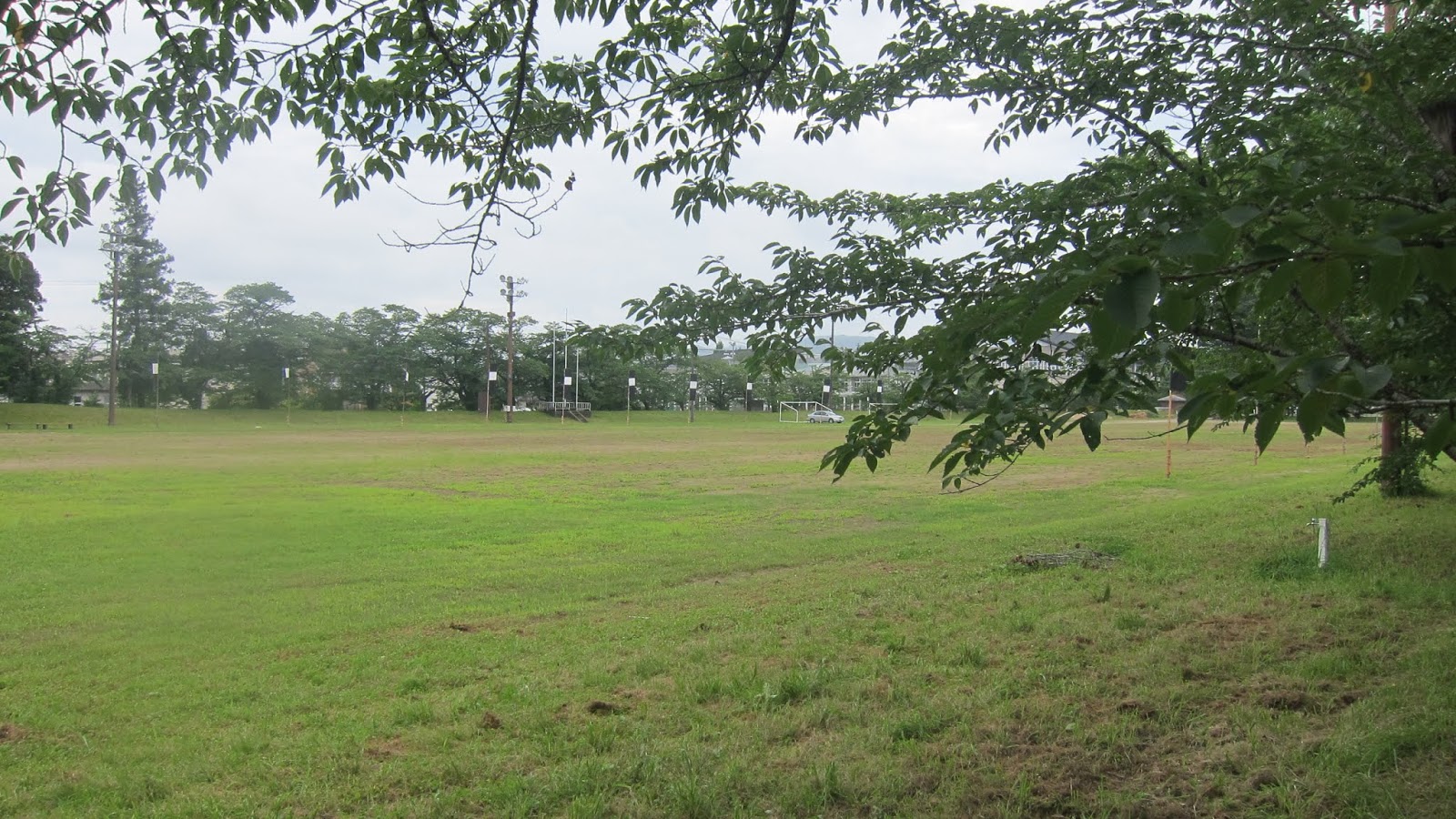 日本史專欄 相馬野馬追 總大將出陣巡遊