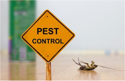 Kitchen and Residential Design: 6 Useful Pest Control Tips For Homeowners