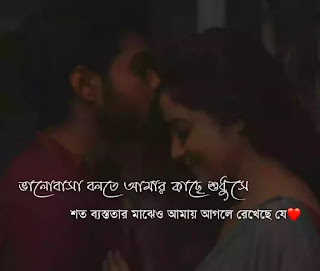 250+ Best Love Quotes In Bengali (বাংলা ভালোবাসার কোটস) 