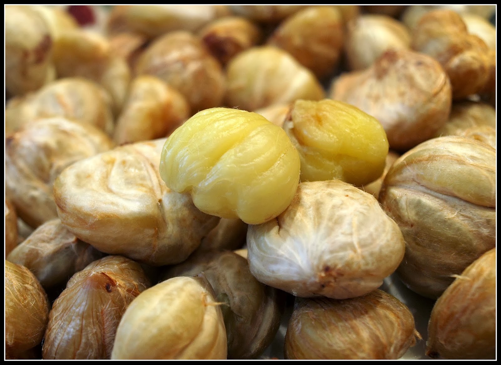 Mark's Veg Plot: Free food! - Chestnuts