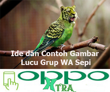 Ide dan Contoh Gambar Lucu Grup WA Sepi - Tutorial Oppo