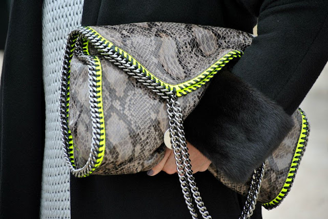 Handbags, Paris Fashion Week, accessories