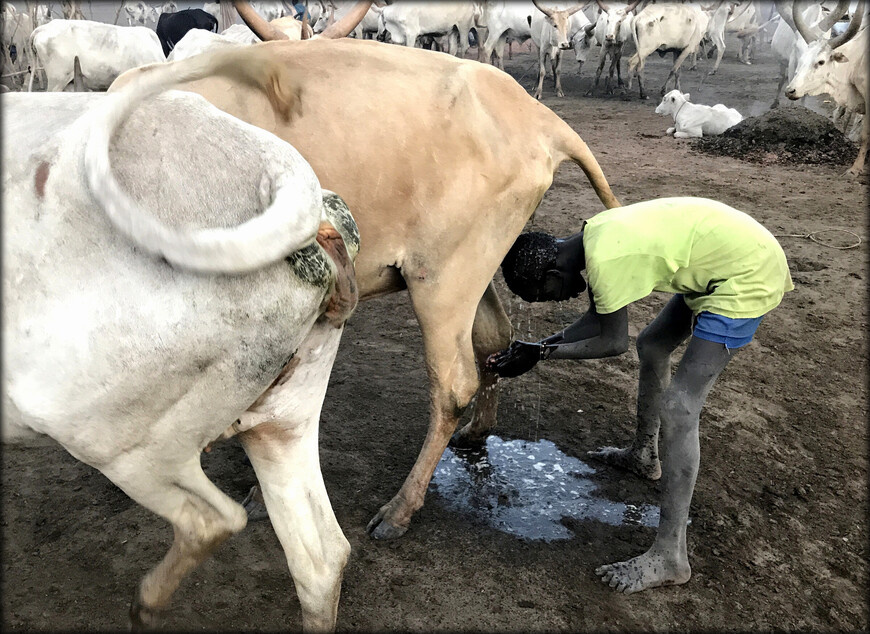 السفر إلى جنوب السودان لراغبي السياحة