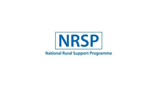 NRSP Jobs 2021 Online Apply - NRSP Bank Jobs 2021 - NRSP National Rural Support Programme Jobs 2021