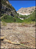 Avalanche Route Destruction with 2 Waterfalls in View above.