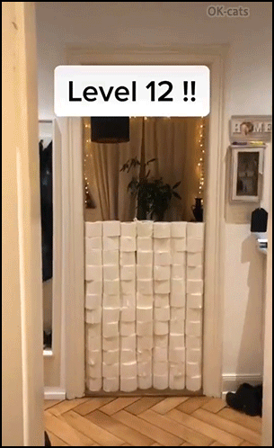 Amazing Cat GIF • Flying cat hit Level 12 at Level up Challenge! She is the winner, simply the best! Amazing Cat GIF • Flying cat hit Level 12 at Level up Challenge! She is the winner, simply the best!