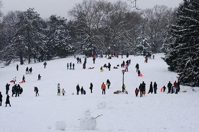 Sledding Central Park