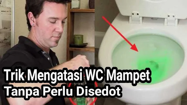 Cara Membersihkan WC Mampet dengan Mudah, Hemat, dan Cepat