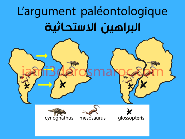 L’argument paléontologique