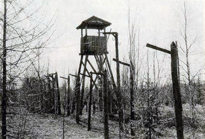 Búscame en el ciclo de la vida 49. Gulag