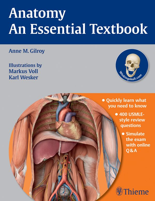 Medical Books Free Anatomy An Essential Textbook (Thieme Illustrated