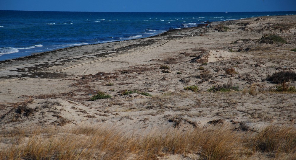 Adventure Travel The Sojourner Scooter Dreams (Djerba, Tunisia)