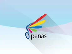 logo pt survai udara penas