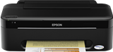 Printer Epson T13