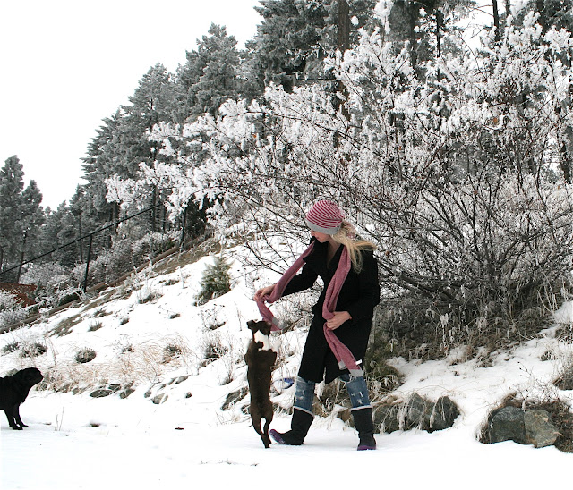 The Hart Fart Brothers