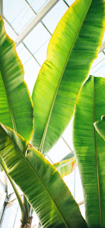 خلفيات ايفون تنزيل 44+ خلفية عالية الجودة لشاشات الايفون