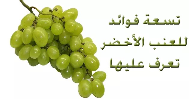 فوائد العنب الأخضر لصحة الجسم العنب الأخضر