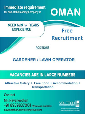 Gulf%2BJob%2BPaper%2B%252884%2529